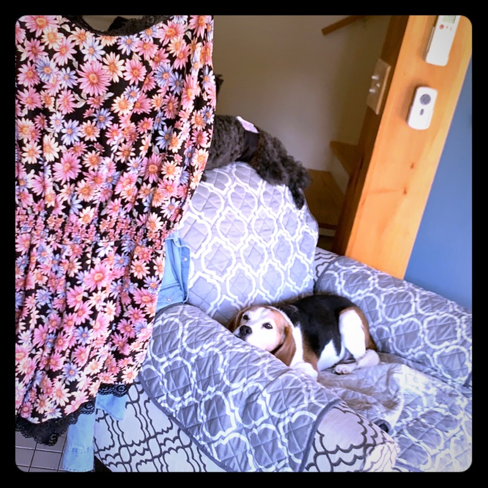 Forever 21 floral romper